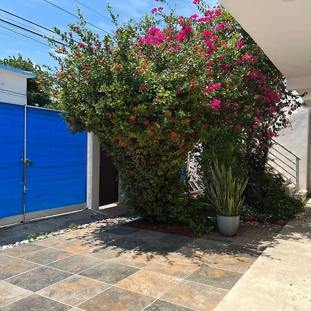 Апартаменты Casa Nuria Плая-дель-Кармен Экстерьер фото